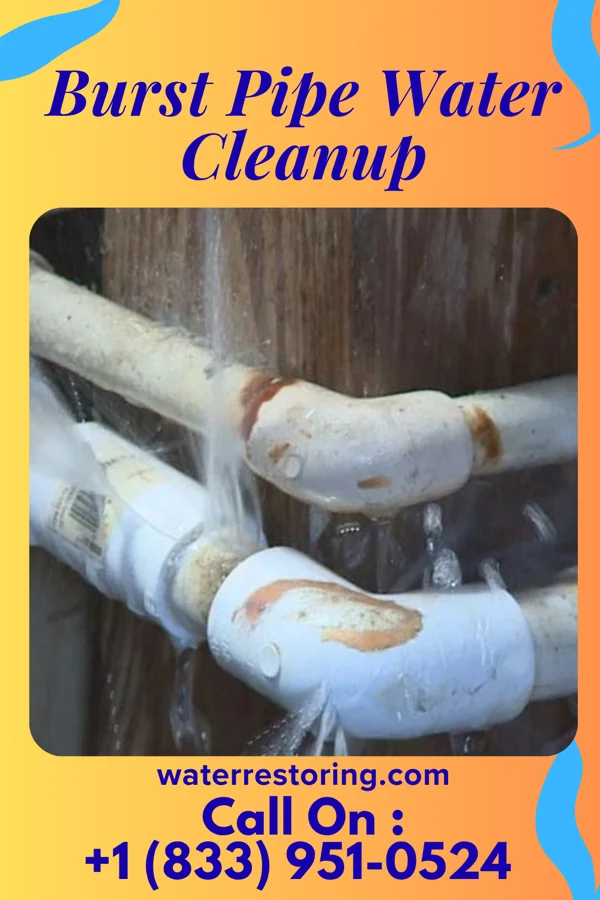 Burst Pipe Water Cleanup in Pine Hills, FL