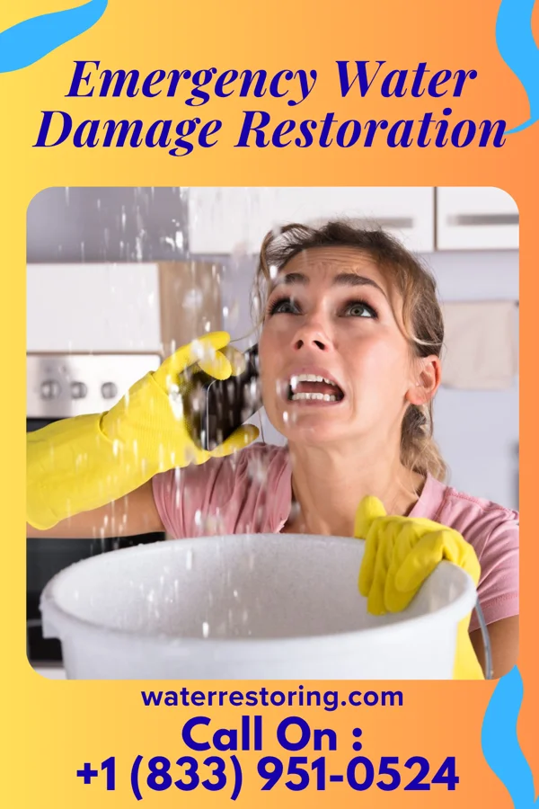 Emergency Water Damage Restoration in Pine Hills, FL